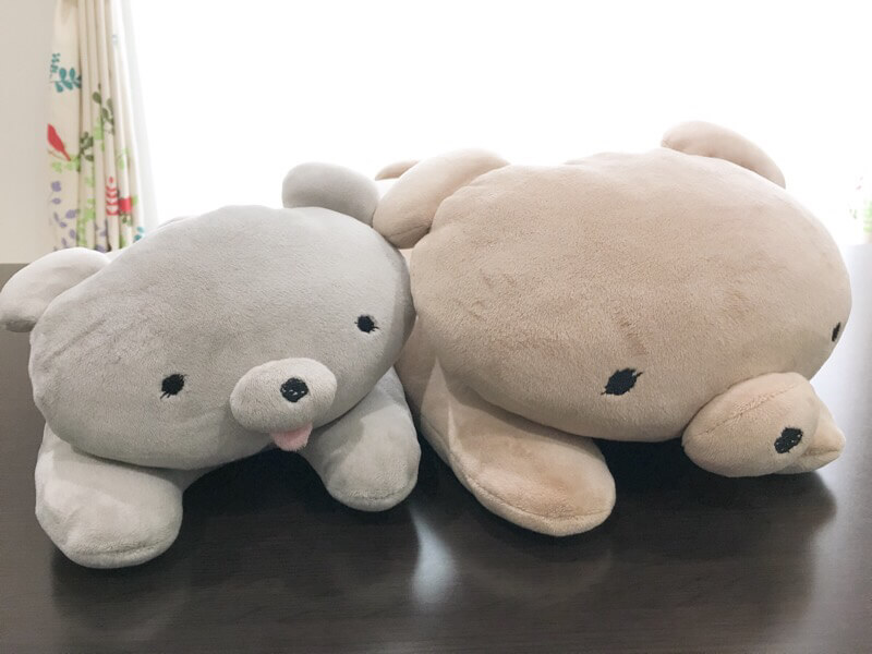 横に並べてももちくまさんかわいい