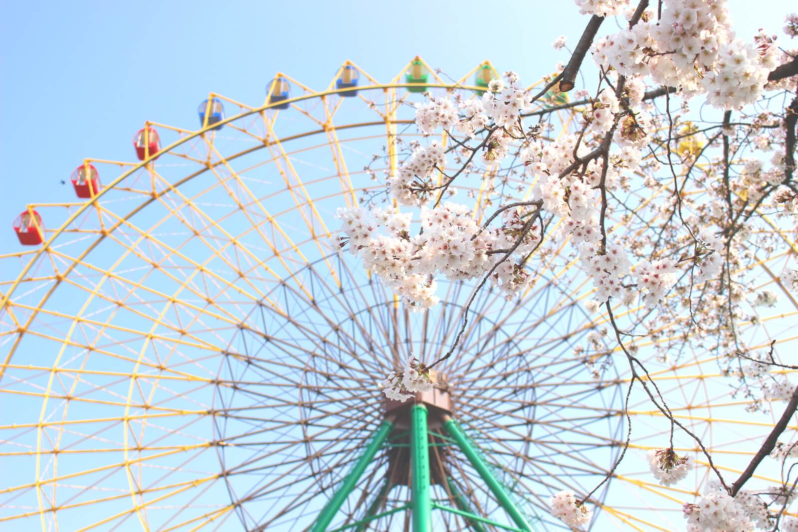 そろそろ満開！群馬県伊勢崎市の「華蔵寺公園花まつり」で桜を楽しもう！