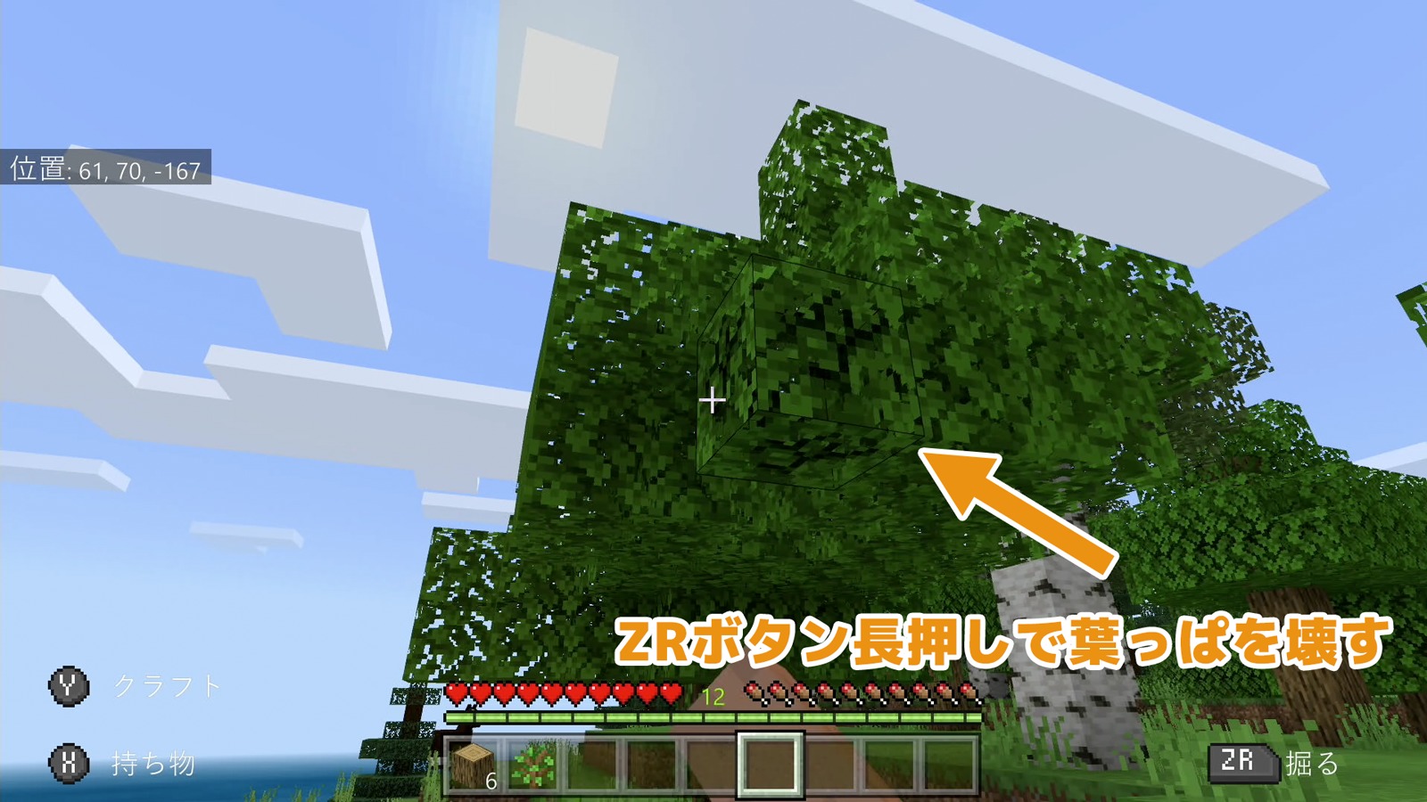 ZRボタン長押しで葉っぱを壊す