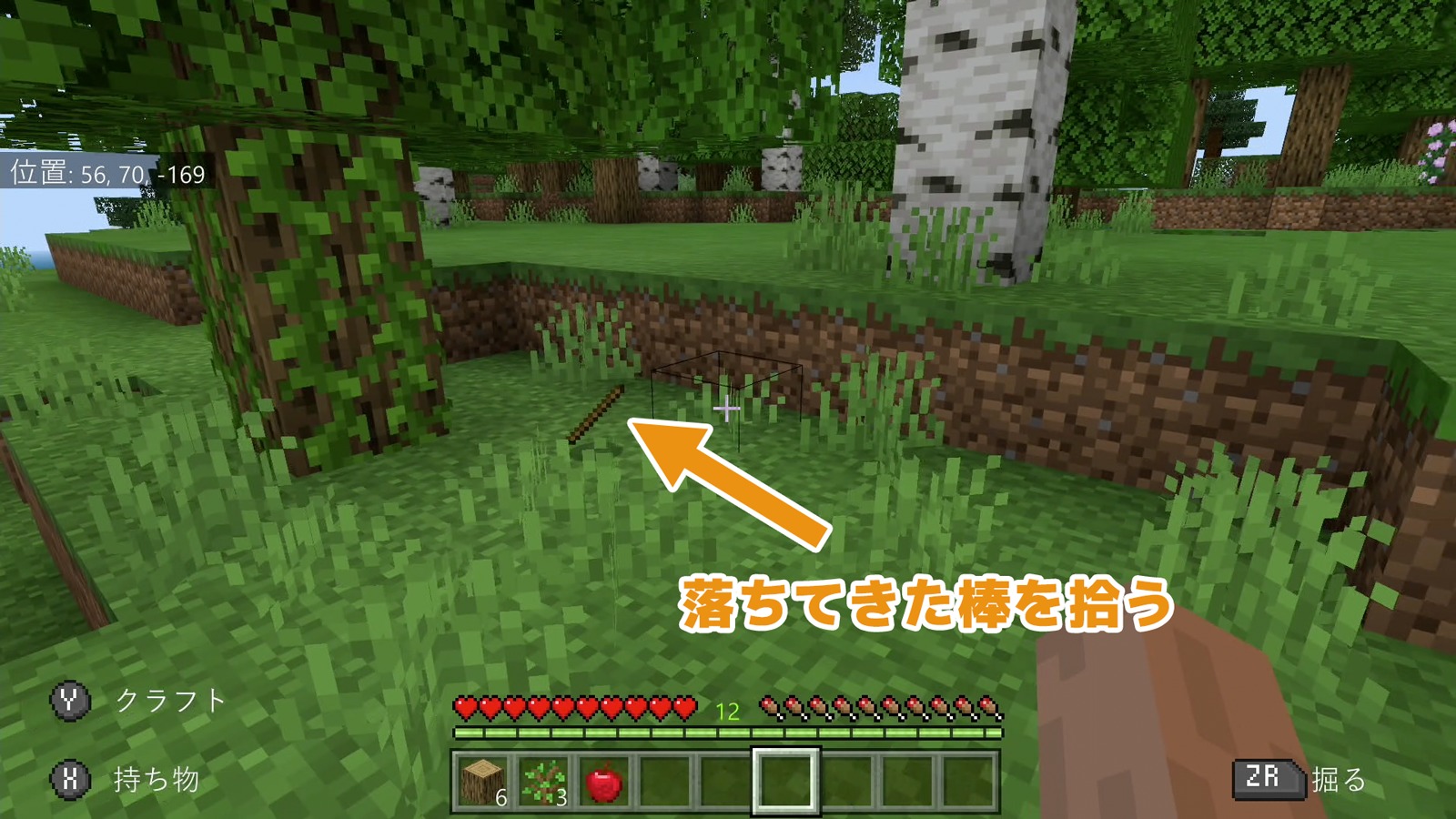 落ちてきた棒を拾う