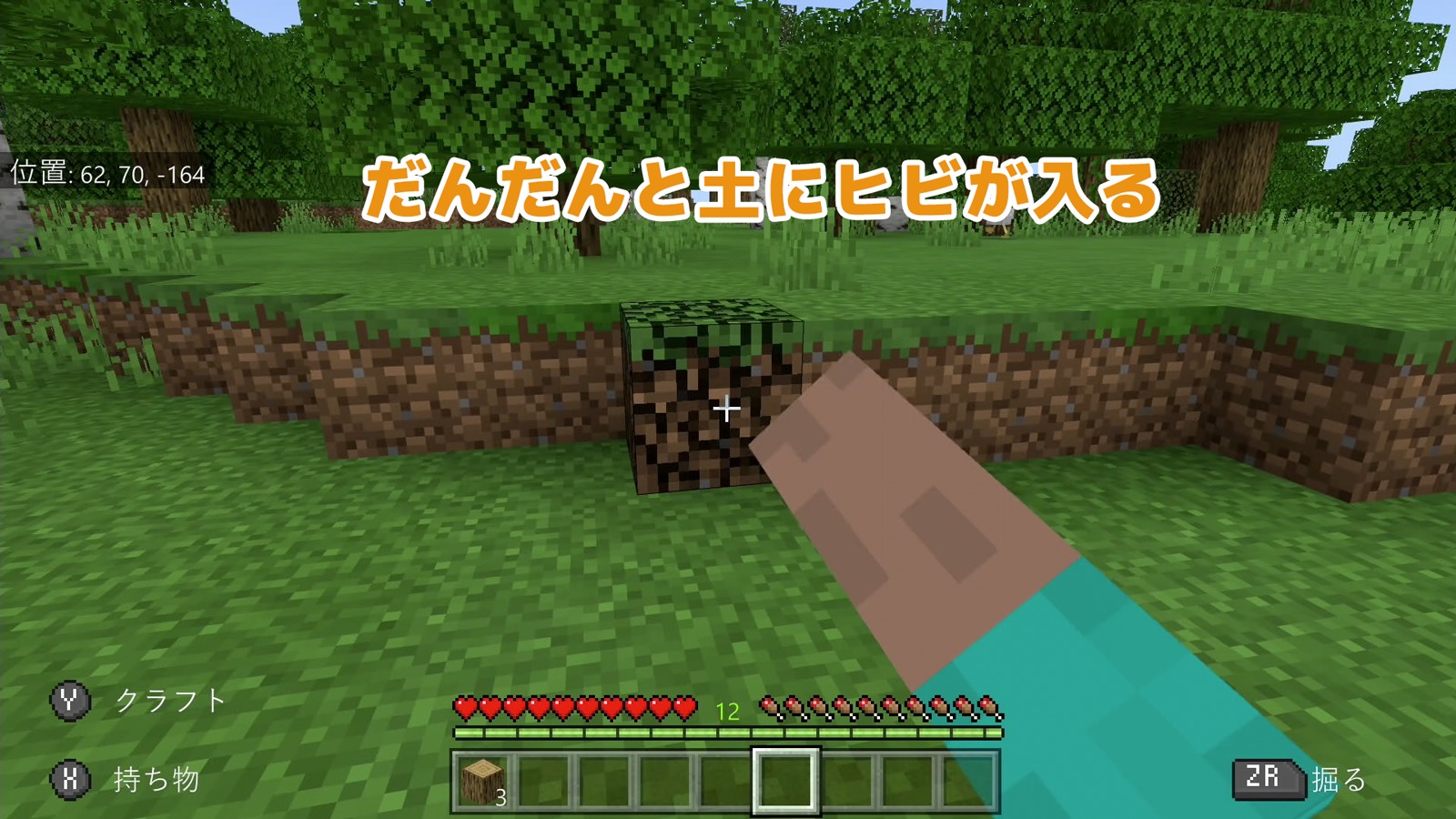 だんだんと土にヒビが入ります